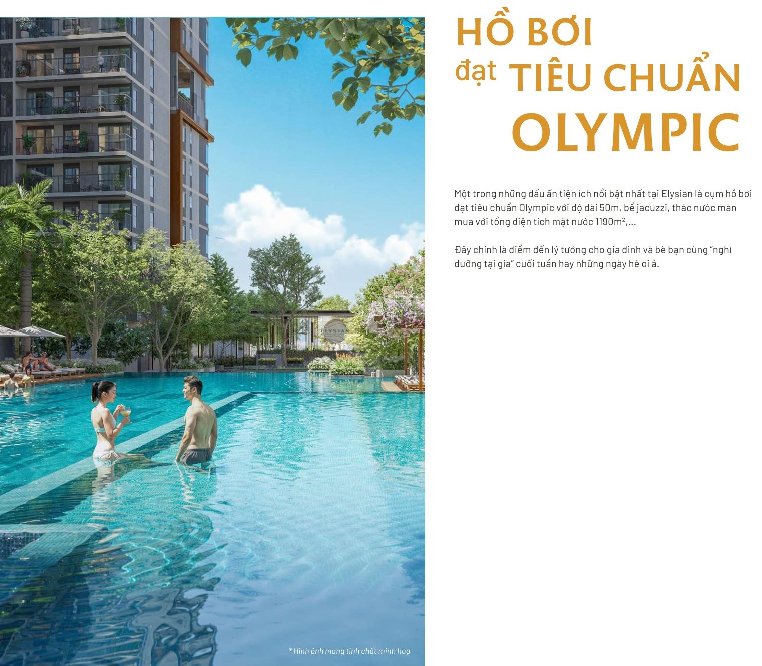 Hồ bơi olympic Elysian 