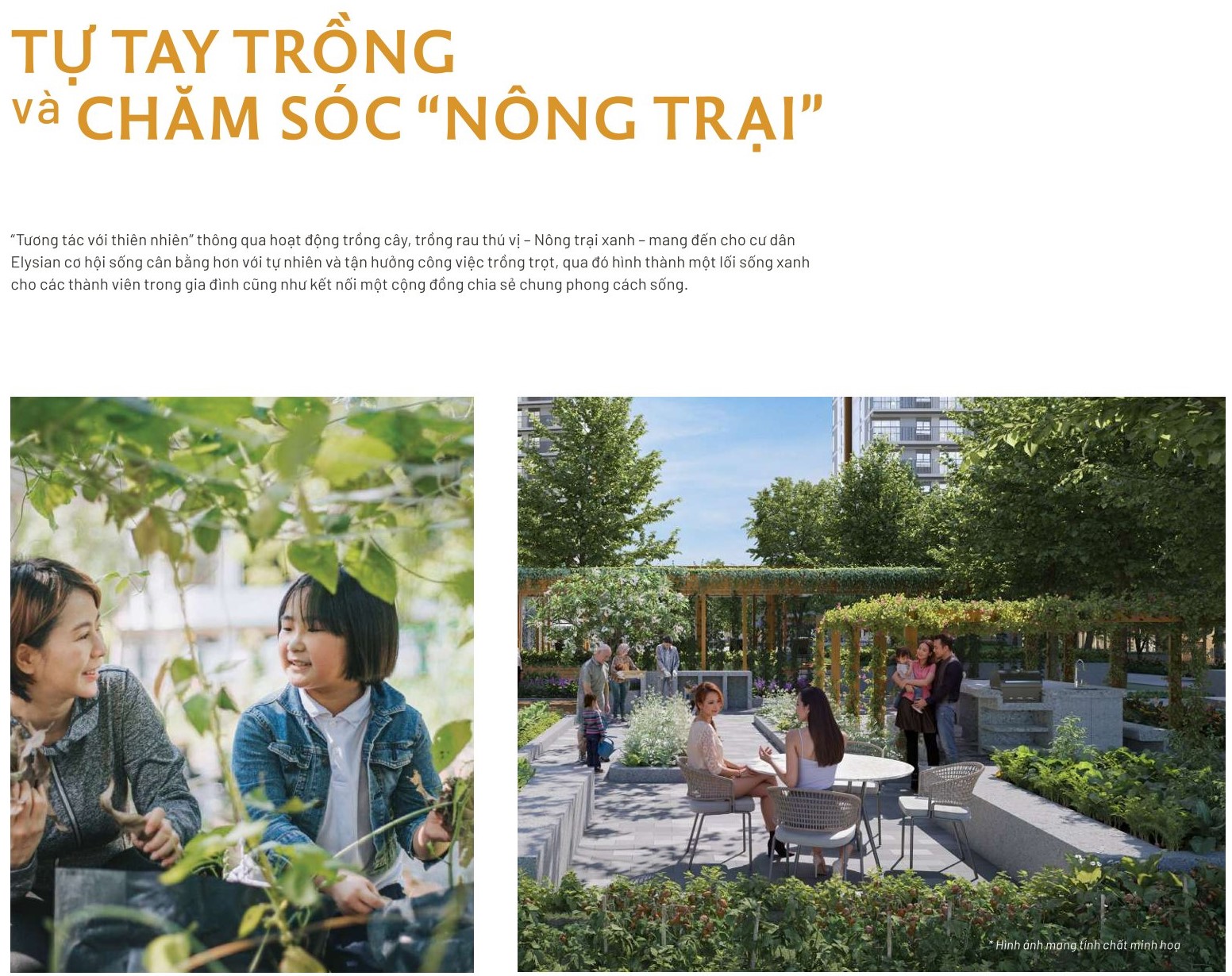 Tiện ích nông trại tại Elysian