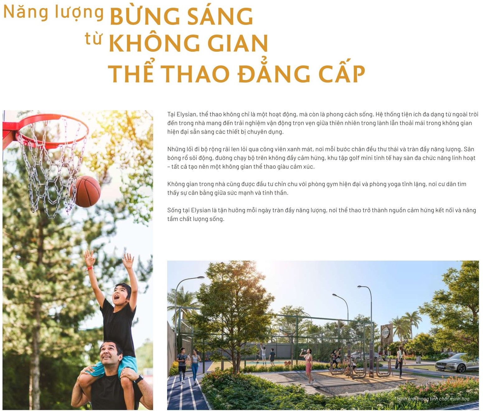 Tiện ích thể thao ngoài trời Elysian